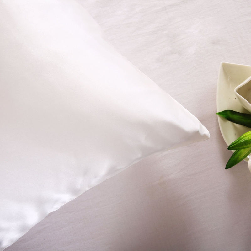 100% 天然桑シルク枕カバー ジッパー枕カバー 健康的な標 - Silk Pillowcase のレビューと価格
